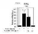 Fig. 12 - PHARMACEUTICAL COMPOSITION CONTAINING OLEANOLIC ACID ACETATE AS AN ACTIVE INGREDIENT FOR PREVENTING OR TREATING TLR- OR IL-6-MEDIATED DISEASES