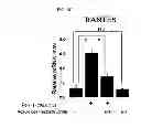 Fig. 14 - PHARMACEUTICAL COMPOSITION CONTAINING OLEANOLIC ACID ACETATE AS AN ACTIVE INGREDIENT FOR PREVENTING OR TREATING TLR- OR IL-6-MEDIATED DISEASES