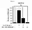 Fig. 16 - PHARMACEUTICAL COMPOSITION CONTAINING OLEANOLIC ACID ACETATE AS AN ACTIVE INGREDIENT FOR PREVENTING OR TREATING TLR- OR IL-6-MEDIATED DISEASES