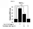 Fig. 17 - PHARMACEUTICAL COMPOSITION CONTAINING OLEANOLIC ACID ACETATE AS AN ACTIVE INGREDIENT FOR PREVENTING OR TREATING TLR- OR IL-6-MEDIATED DISEASES