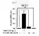 Fig. 20 - PHARMACEUTICAL COMPOSITION CONTAINING OLEANOLIC ACID ACETATE AS AN ACTIVE INGREDIENT FOR PREVENTING OR TREATING TLR- OR IL-6-MEDIATED DISEASES