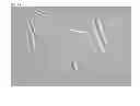 Fig. 02 - NEUROGENESIS SCREENING METHOD AND USES THEREOF