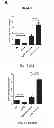 Fig. 22 - Small molecule modulators of microRNA-34a