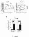 Fig. 23 - Small molecule modulators of microRNA-34a