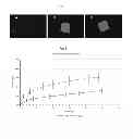 Fig. 02 - FIBER COMPRISING A BIODEGRADABLE POLYMER