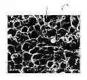 Fig. 01 - POROUS MATERIALS, METHODS OF MAKING AND USES