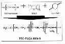 Fig. 01 - Thermosensitive and crosslinkable polymer composite for three-dimensional soft tissue scaffold printing