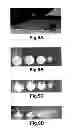 Fig. 08 - Thermosensitive and crosslinkable polymer composite for three-dimensional soft tissue scaffold printing