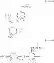 Fig. 02 - EPOXY RESIN COMPOSITION FOR ENCAPSULATION OF SEMICONDUCTOR DEVICE AND SEMICONDUCTOR DEVICE ENCAPSULATED USING THE SAME