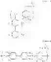 Fig. 02 - EPOXY RESIN COMPOSITION FOR ENCAPSULATION OF SEMICONDUCTOR DEVICE AND SEMICONDUCTOR DEVICE ENCAPSULATED USING THE SAME