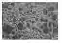 Fig. 01 - Artificial silica marble having amorphous patterns and method for preparing the same