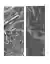 Fig. 08 - Fire retardant polypropylene