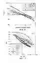 Fig. 04 - Branched polyethylene with improved processing and high tear films made therefrom