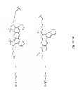 Fig. 07 - Peptide Conjugates and Fluorescence Detection Methods for Intracellular Caspase Assay