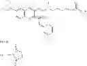 Fig. 17 - Peptide Conjugates and Fluorescence Detection Methods for Intracellular Caspase Assay