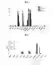 Fig. 03 - Technetium- and rhenium-bis(heteroaryl) complexes and methods of use thereof