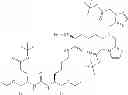 Fig. 209 - Technetium- and rhenium-bis(heteroaryl) complexes and methods of use thereof