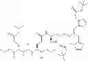 Fig. 220 - Technetium- and rhenium-bis(heteroaryl) complexes and methods of use thereof
