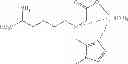 Fig. 241 - Technetium- and rhenium-bis(heteroaryl) complexes and methods of use thereof