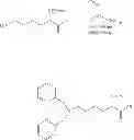 Fig. 286 - Technetium- and rhenium-bis(heteroaryl) complexes and methods of use thereof