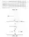 Fig. 02 - Methods and compositions for targeting polyubiquitin
