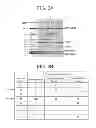 Fig. 04 - Conjugation methods