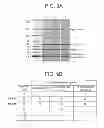 Fig. 10 - Conjugation methods