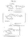 Fig. 14 - Conjugation methods