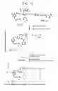 Fig. 20 - Conjugation methods