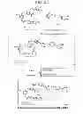 Fig. 23 - Conjugation methods