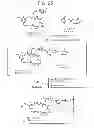 Fig. 26 - Conjugation methods