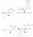 Fig. 131 - Substituted nucleosides, nucleotides and analogs thereof