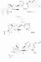 Fig. 136 - Substituted nucleosides, nucleotides and analogs thereof