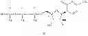 Fig. 151 - Substituted nucleosides, nucleotides and analogs thereof