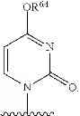 Fig. 69 - Substituted nucleosides, nucleotides and analogs thereof