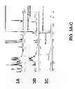 Fig. 04 - METHODS AND MEANS FOR THE MANUFACTURE OF HYALURONAN