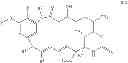 Fig. 07 - Preparation of maytansinoid esters