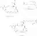 Fig. 131 - Preparation of maytansinoid esters