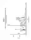 Fig. 02 - Process for the preparation of cathepsin S inhibitors