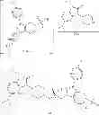 Fig. 37 - Process for the preparation of cathepsin S inhibitors