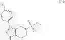 Fig. 48 - Process for the preparation of cathepsin S inhibitors