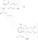 Fig. 77 - Process for the preparation of cathepsin S inhibitors
