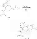Fig. 79 - Process for the preparation of cathepsin S inhibitors