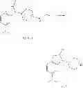 Fig. 87 - Process for the preparation of cathepsin S inhibitors