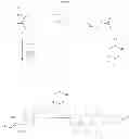 Fig. 92 - Process for the preparation of cathepsin S inhibitors