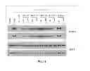 Fig. 12 - Antioxidant inflammation modulators: oleanolic acid derivatives with saturation in the C-ring