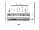 Fig. 15 - Antioxidant inflammation modulators: oleanolic acid derivatives with saturation in the C-ring