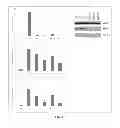 Fig. 22 - Antioxidant inflammation modulators: oleanolic acid derivatives with saturation in the C-ring