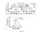 Fig. 08 - Oligo- and polyfurans, preparation and uses thereof