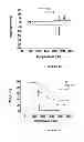 Fig. 10 - Oligo- and polyfurans, preparation and uses thereof